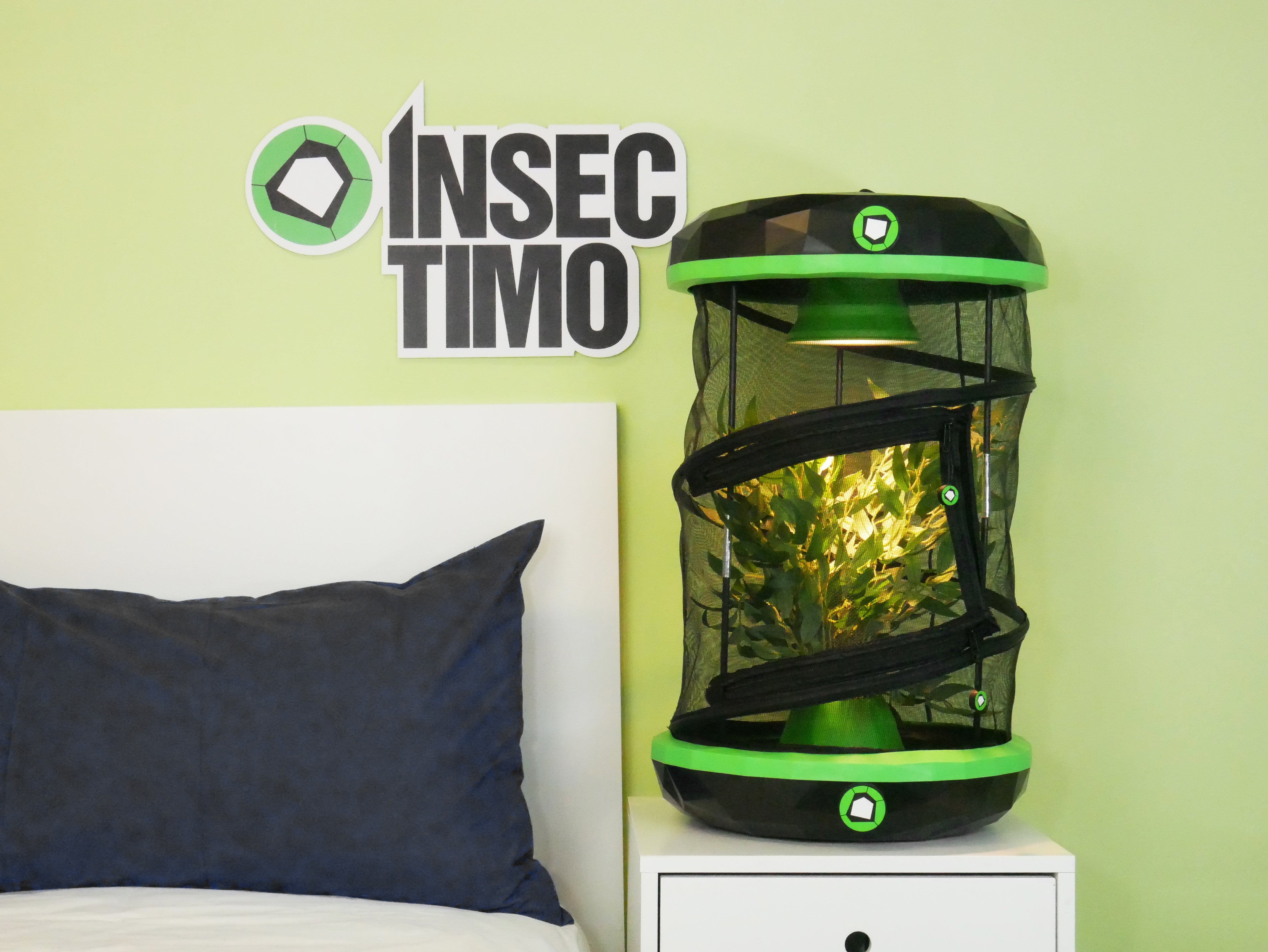 Pet Stick Insect Enclosure | Insectimo Pod – Happy Pet Shack