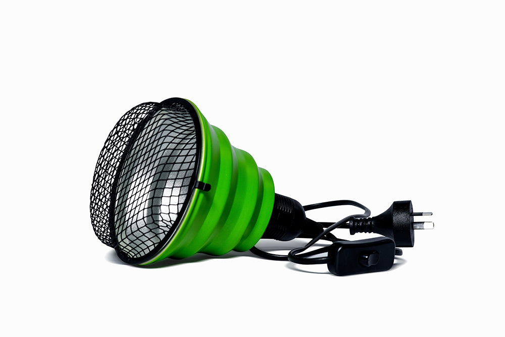 Stick Insect Light Capsule