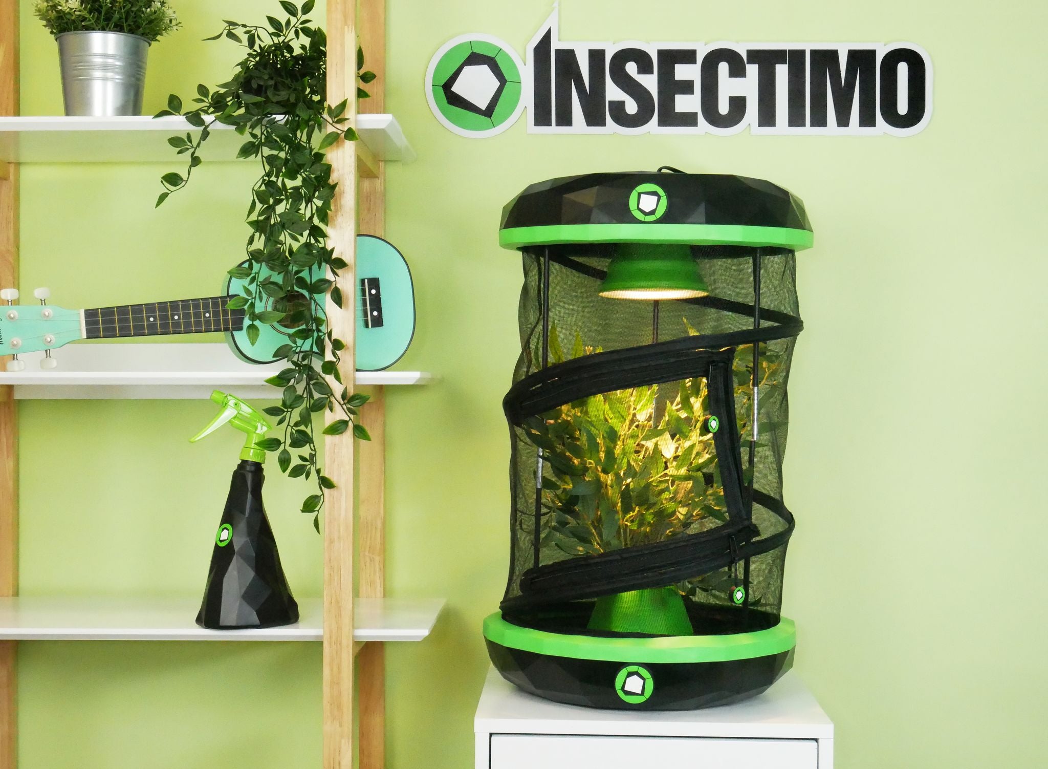 Pet Stick Insect Enclosure | Insectimo Pod – Happy Pet Shack