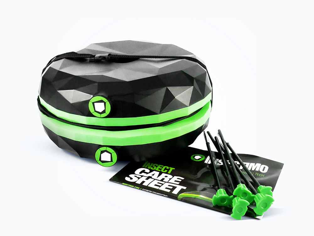 Pet Stick Insect Enclosure | Insectimo Pod – Happy Pet Shack