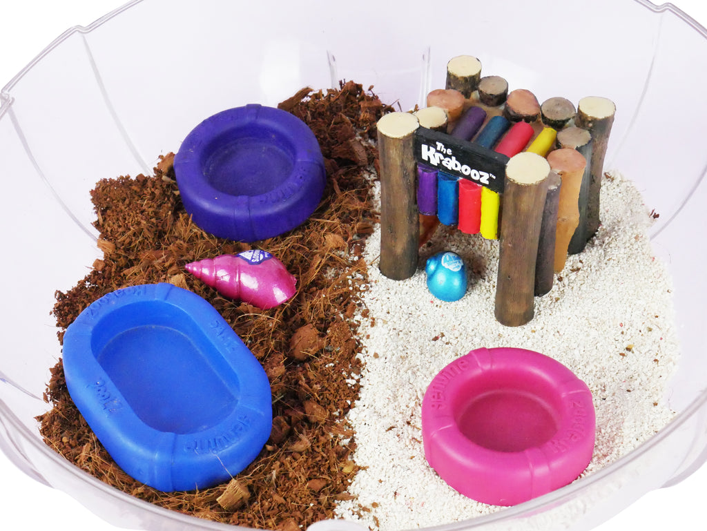 Hermit Crab Salt Water Pool