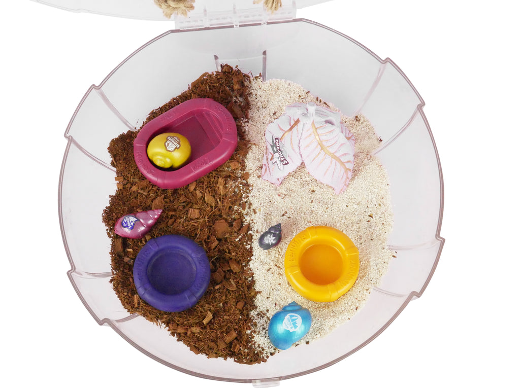 Pet Hermit Crab Food and Water Bowl