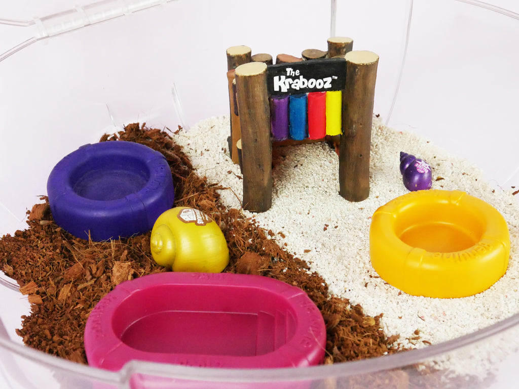 Hermit Crab Hiding Hut