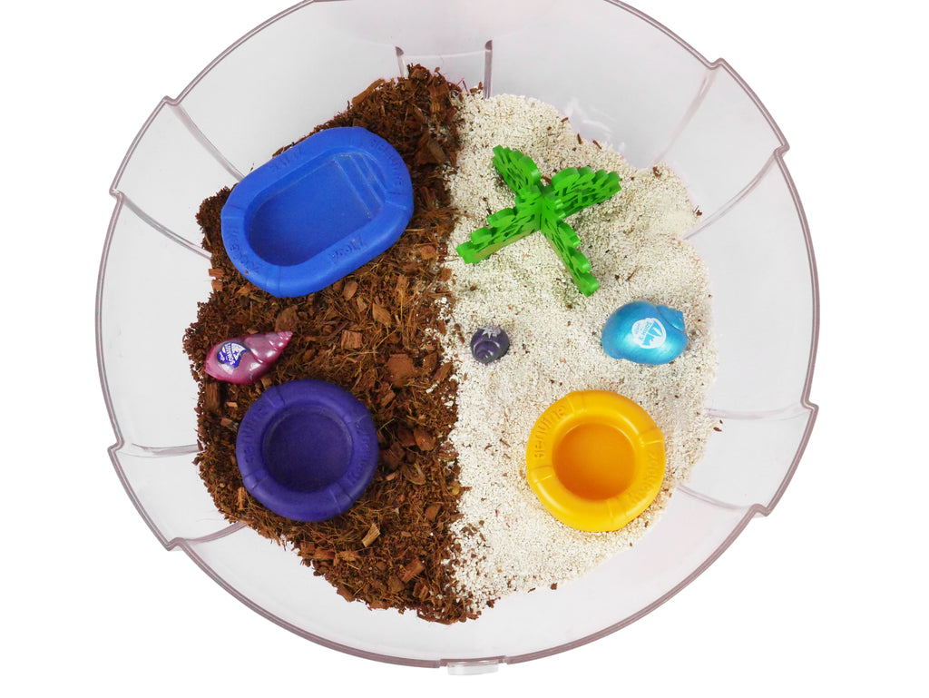 Pet Hermit Crab Climbing Accessory 