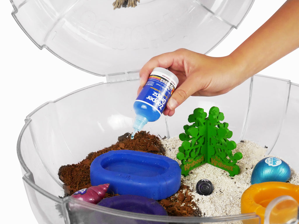 Hermit Crab Salt Water Pool