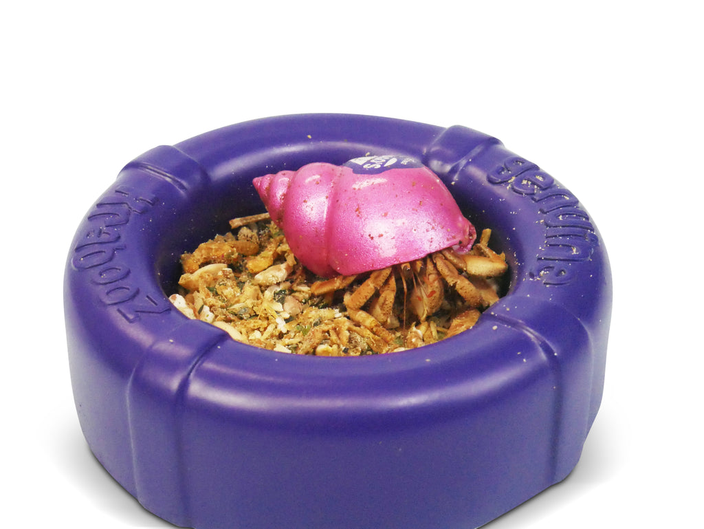 Pet Hermit Crab Food and Water Bowl